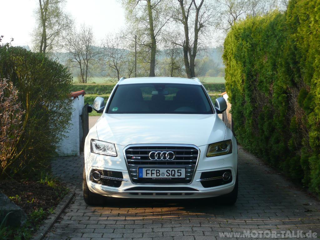 802784AUDISQ5334.jpg