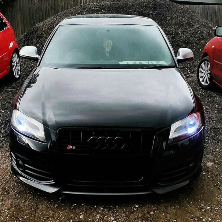 805814619S38P.jpg