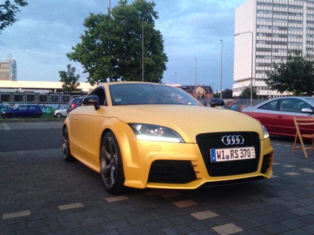 805987AUDITTRS1254.jpg