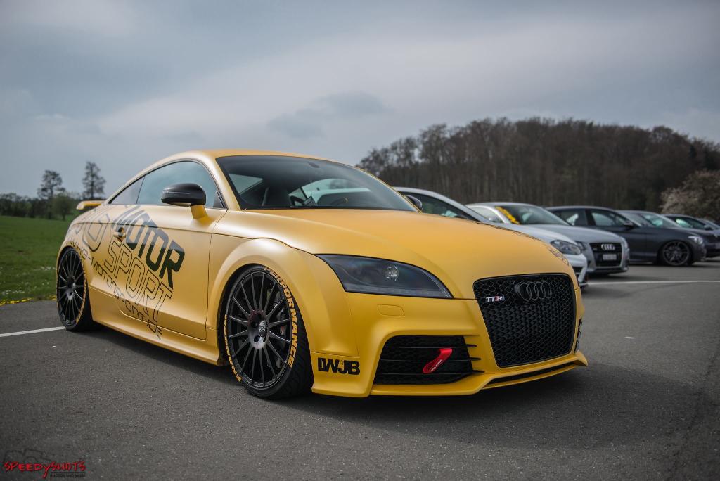 807542AUDITTRS2549.jpg
