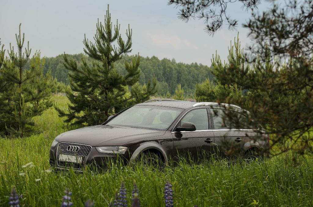 8092182121AUDIA4ALLROAD.jpg