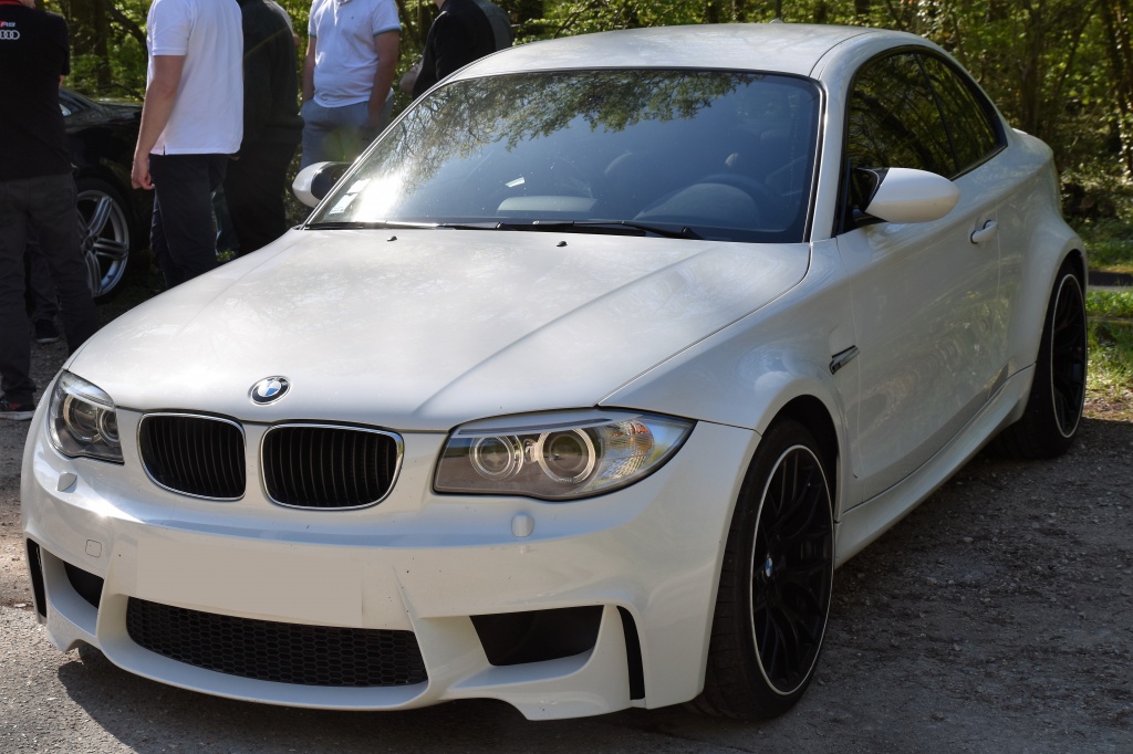 809494DSC03902.jpg