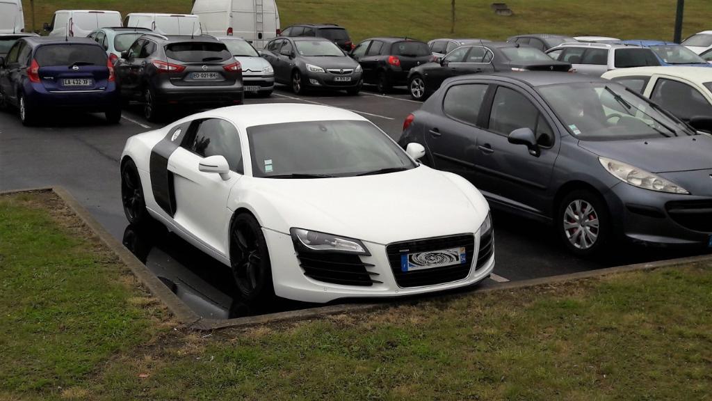 8097793514R8.jpg