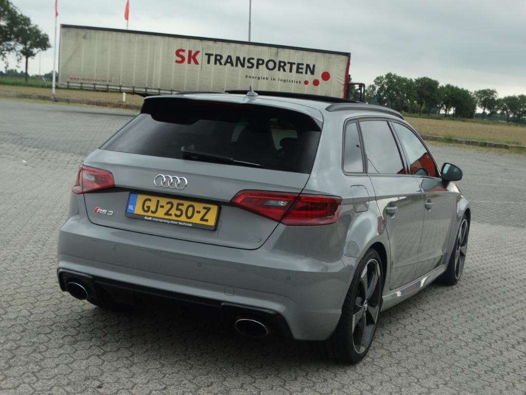 810072RS38V2792.jpg
