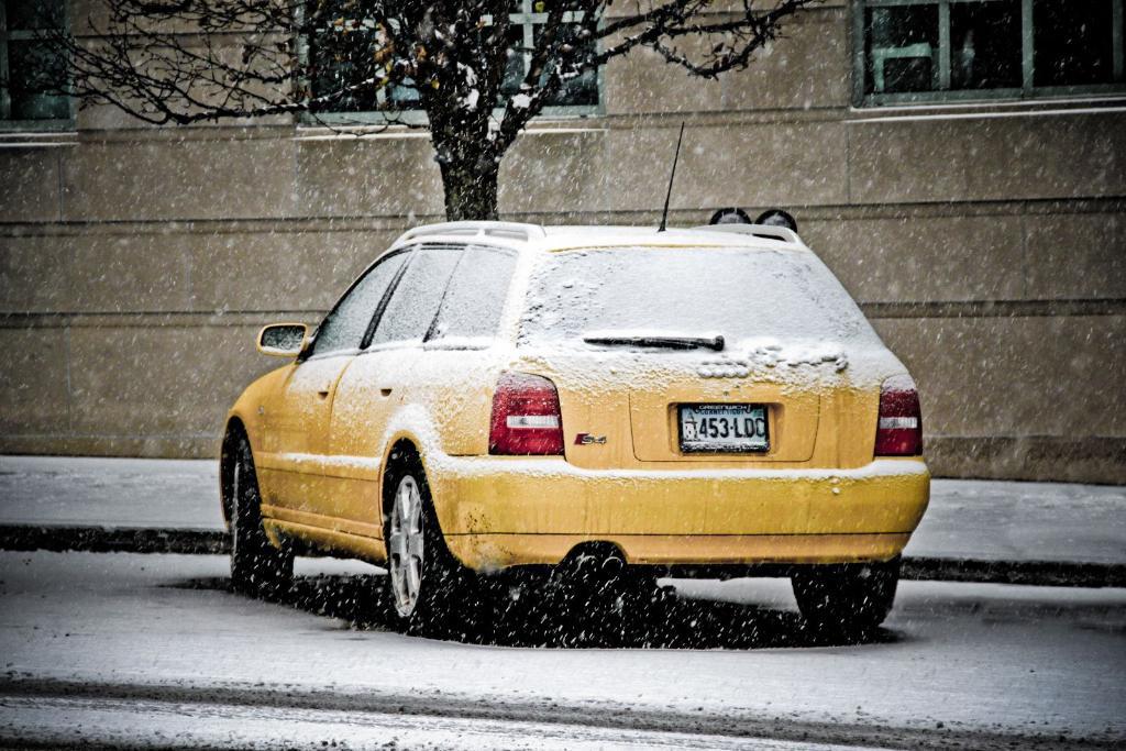 8120931093NEIGE.jpg