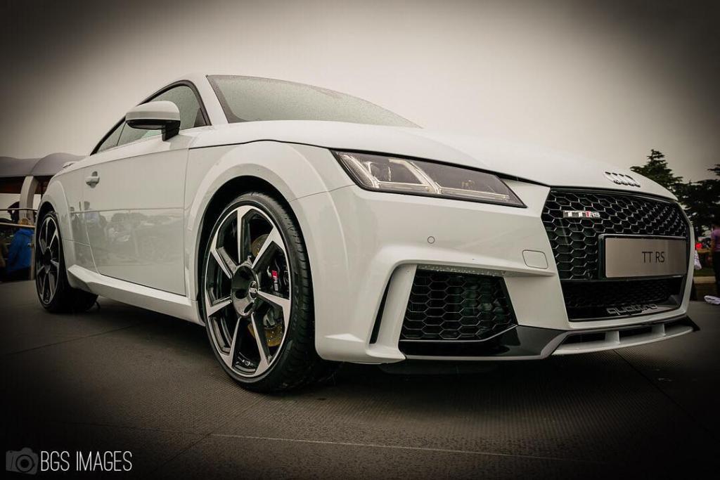 812786AUDITTRS8S0346.jpg