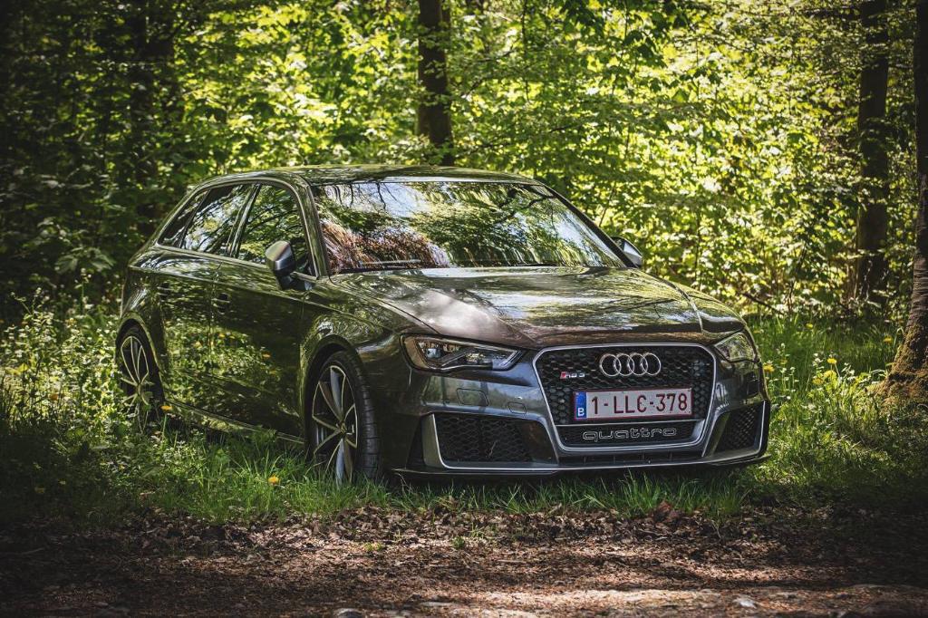 812964RS38V1376.jpg