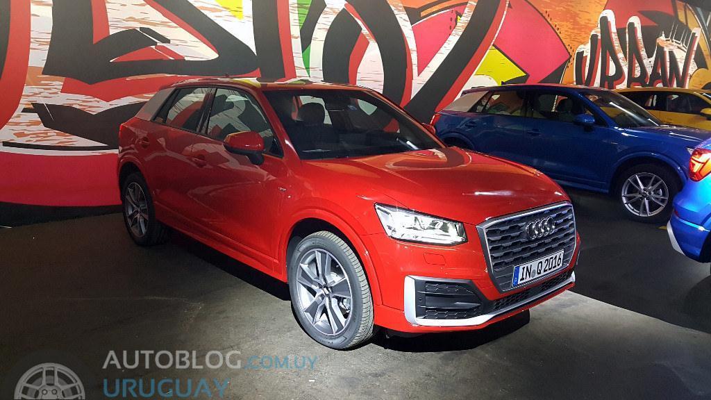 813593AUDIQ20295.jpg