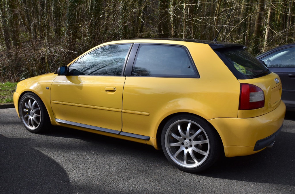 813740DSC00592x.jpg
