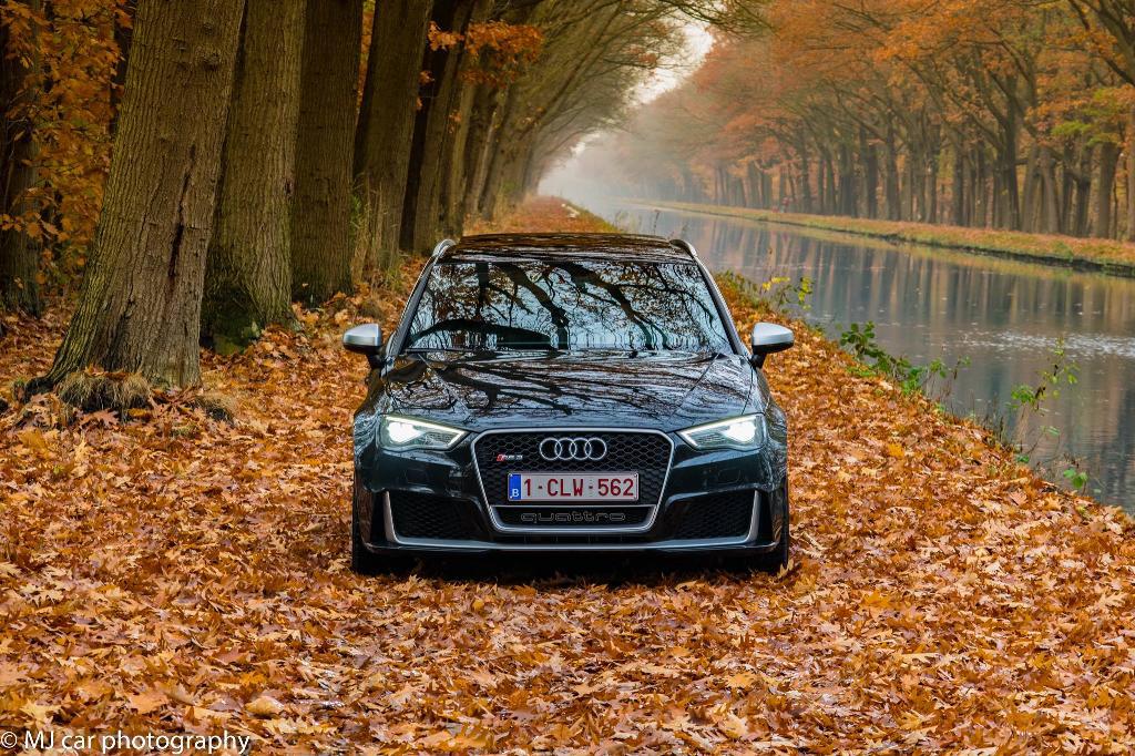814113RS38V1685.jpg