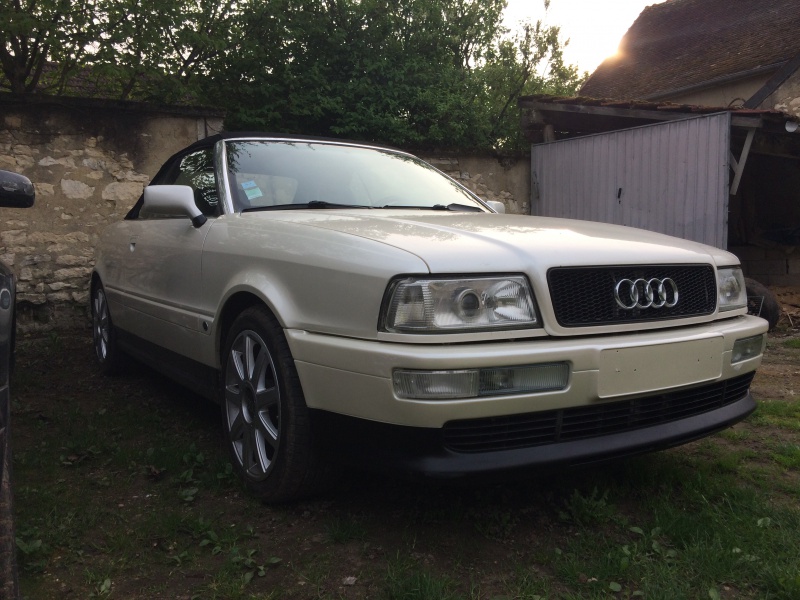 815386IMG0390.jpg
