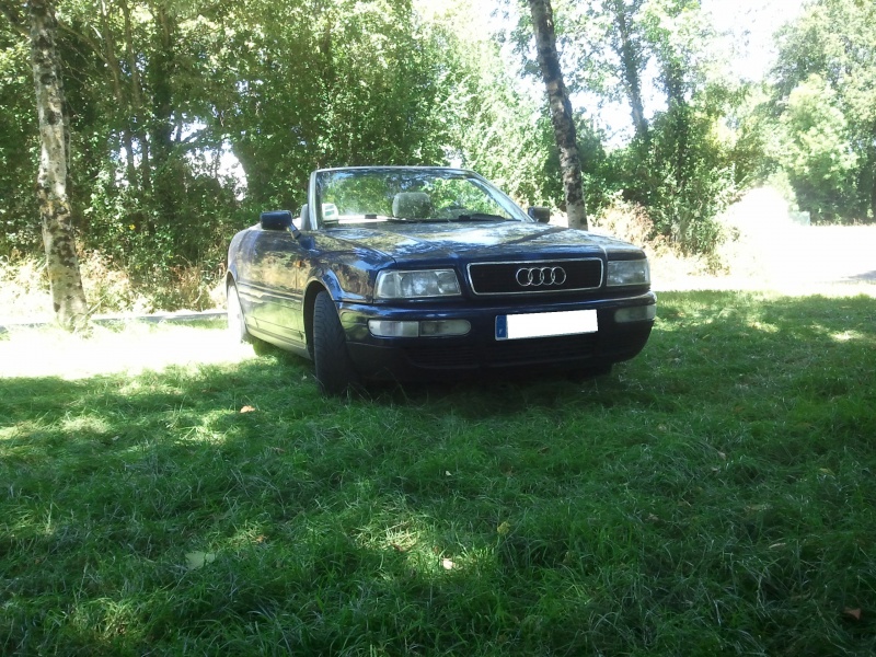 816184Photo7819a.jpg