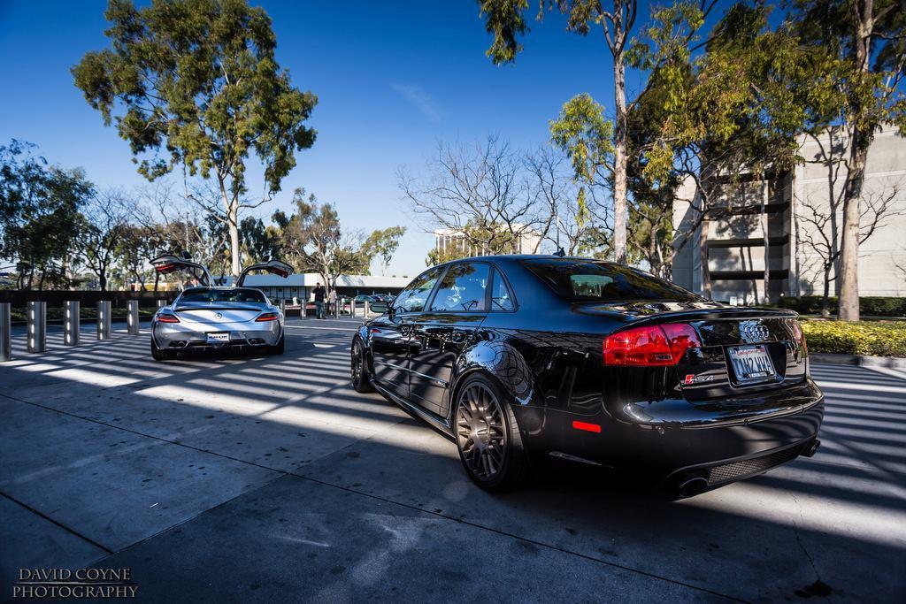 816614AUDIRS4959.jpg