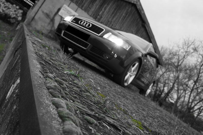 819381DSC01592.jpg