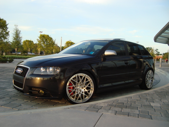 821644qs5glf.jpg