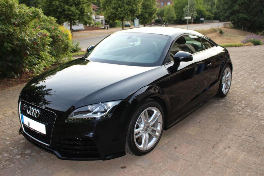 824519AUDITTRS1695.jpg