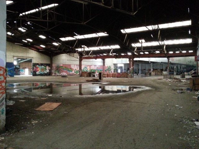 825176shoot.jpg