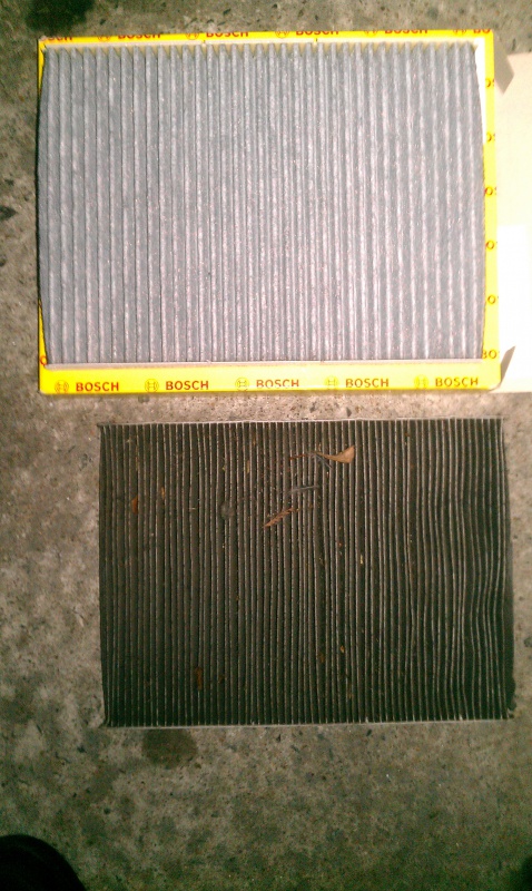 825381IMAG0232.jpg