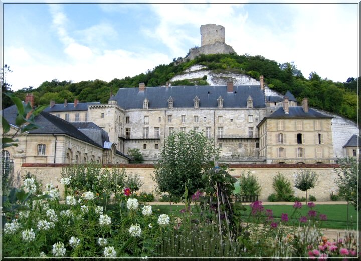 827399chateauderocheguyon.jpg