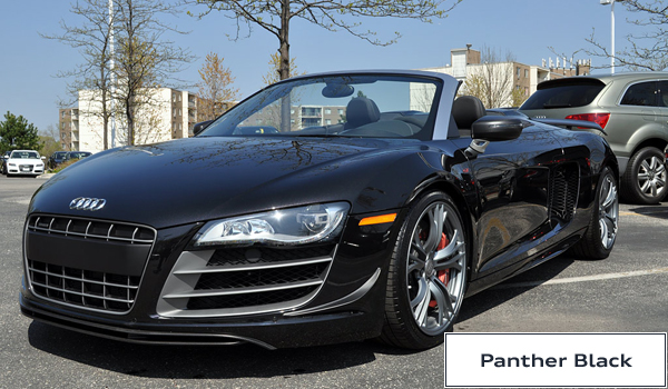 828676PantherBlack.jpg