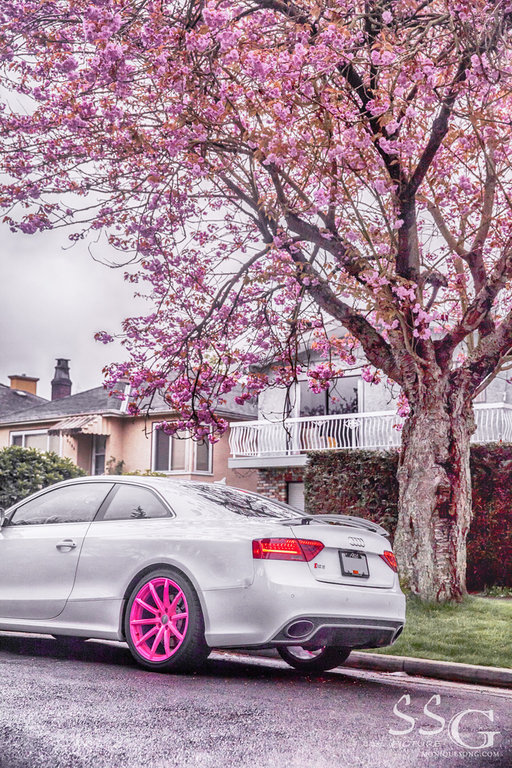 832144AUDIRS5806.jpg