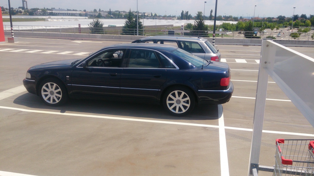 833798DSC0500.jpg