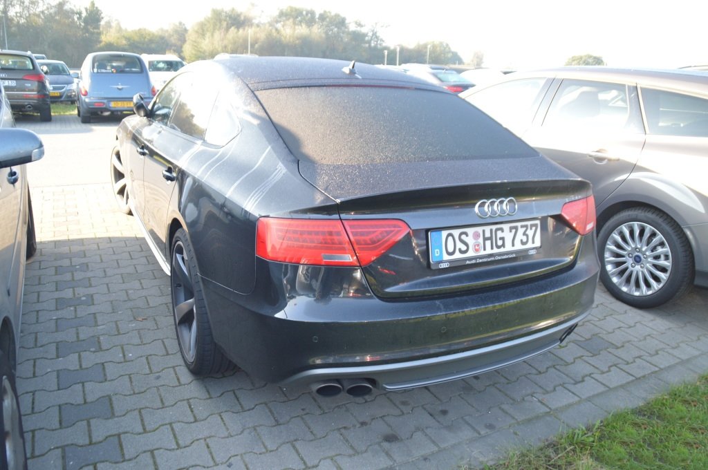 834206490S5SPORTBACK.jpg