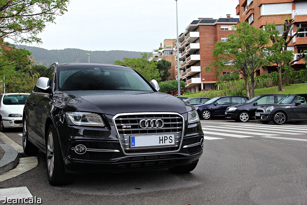 834258AUDISQ5524.jpg