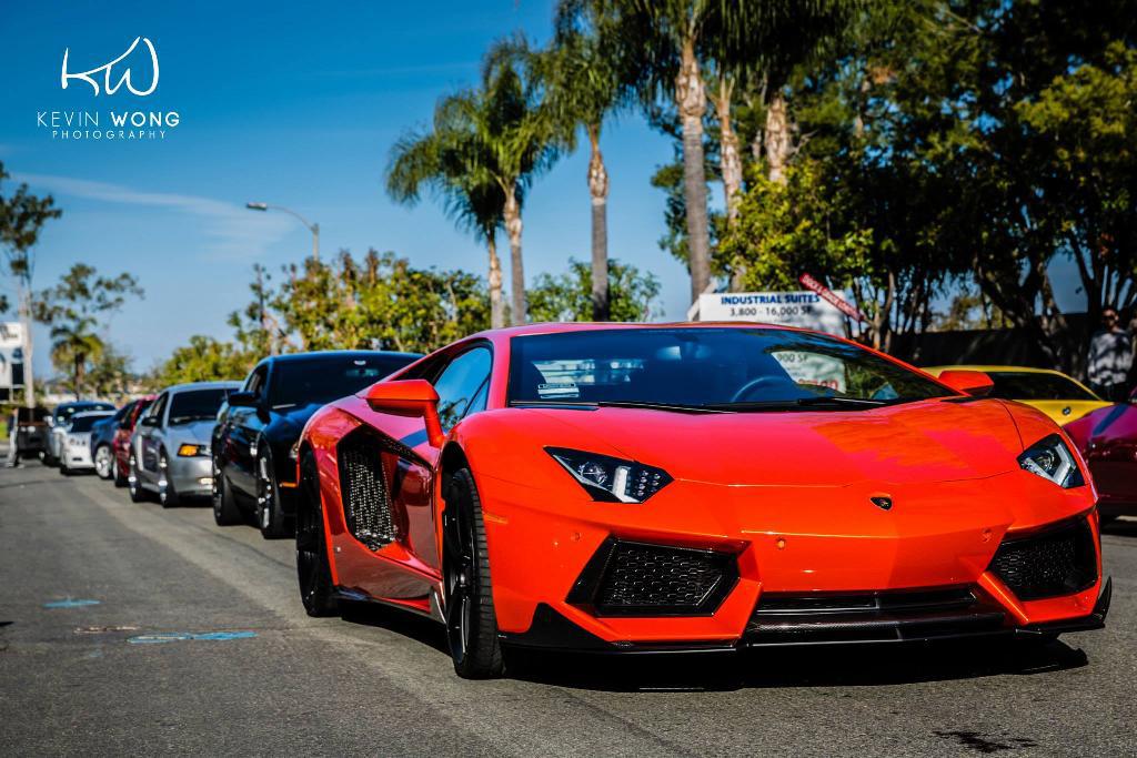 8355431056LAMBORGHINIAVENTADOR.jpg