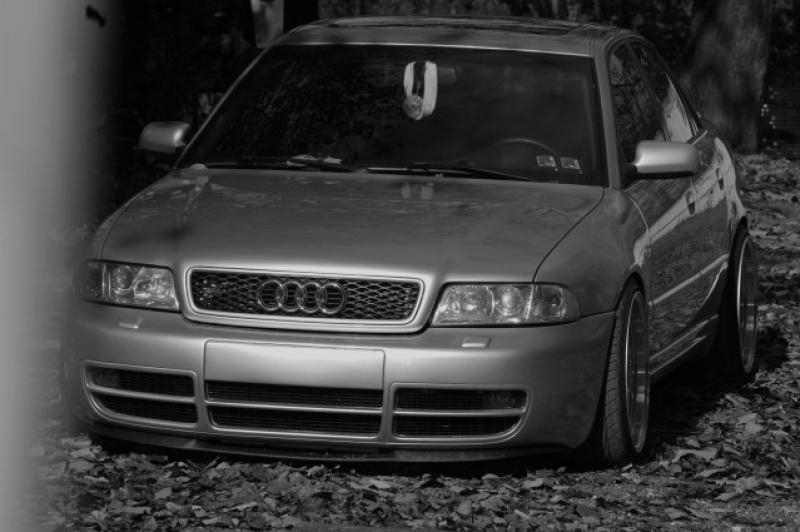 84096520h0qwi.jpg