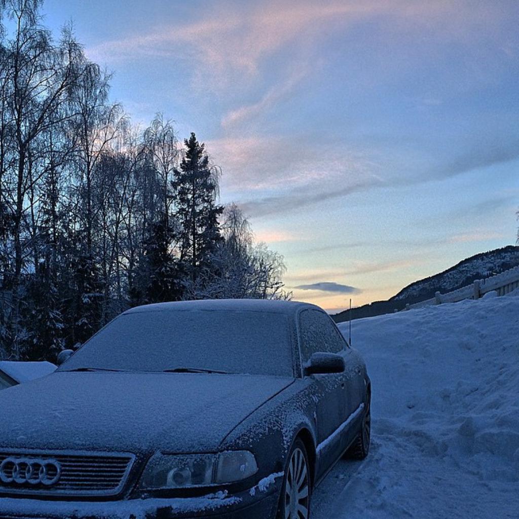 8429511076NEIGE.jpg