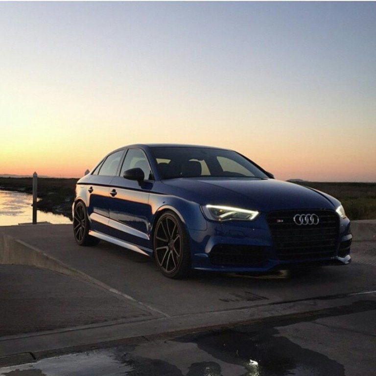 843959S38V1613.jpg