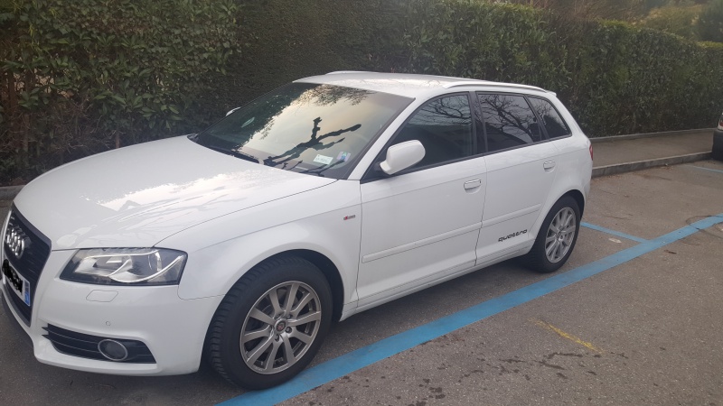 845487ss1.jpg