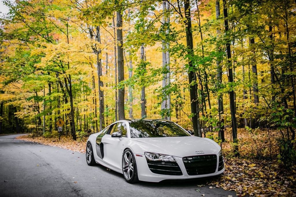 8473611852AUDIR8V10.jpg