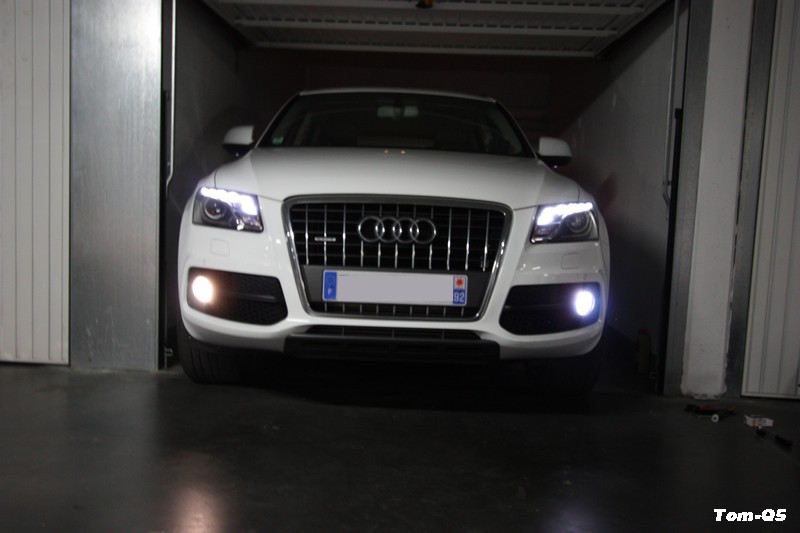 847803IMG5528tn.jpg