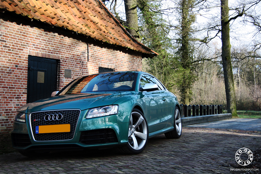 852045RS5230112ESQUIROU010.jpg
