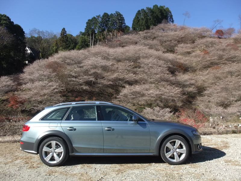 853531186AUDIA4ALLROAD.jpg