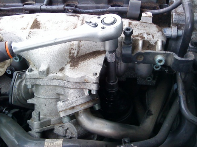 853686img3148380d55.jpg