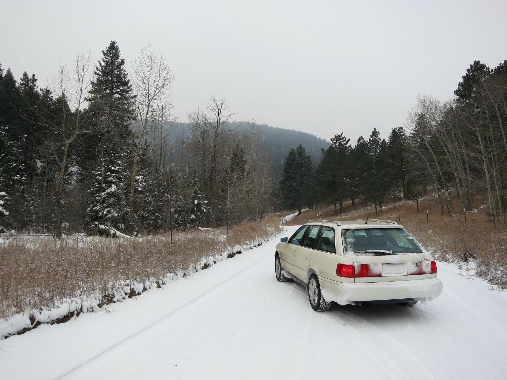 8555231149NEIGE.jpg