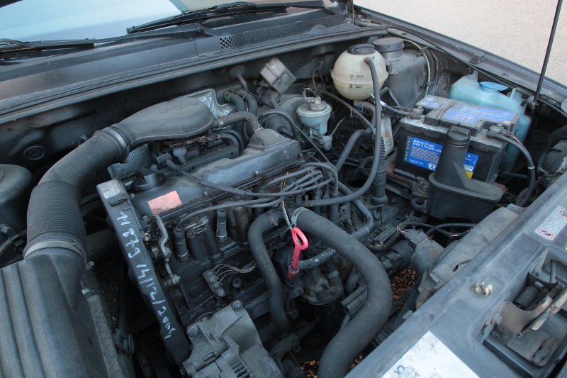 856630IMG5964.jpg