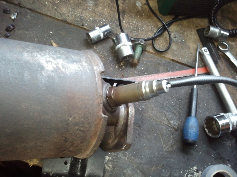 857955Photo4270.jpg