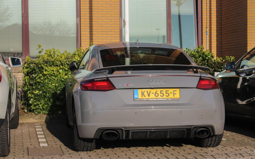 859392AUDITTRS8S0612.jpg