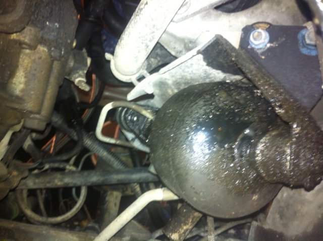 photo%201.JPG?psid=1