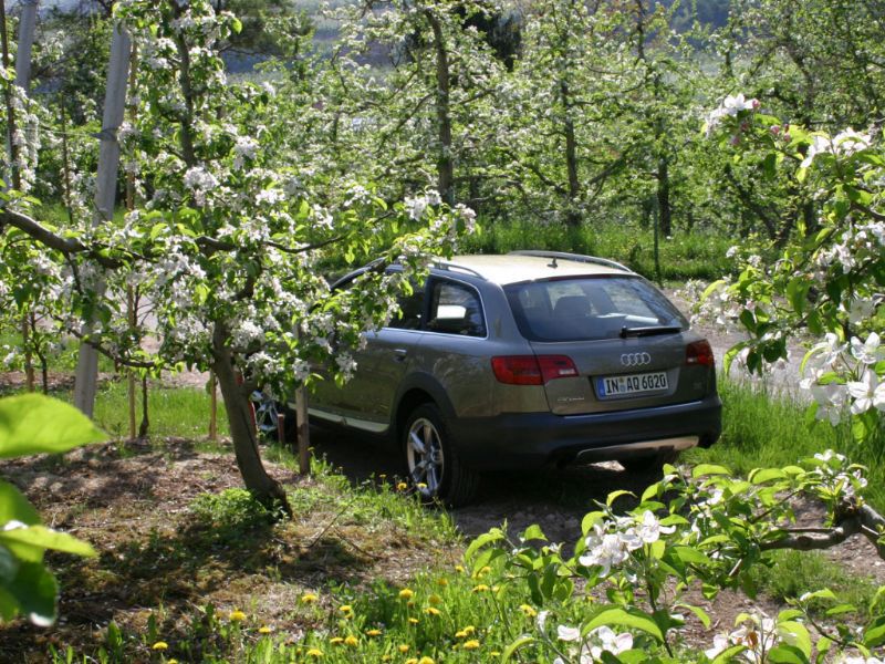 86099594AUDIA6C6ALLROAD.jpg