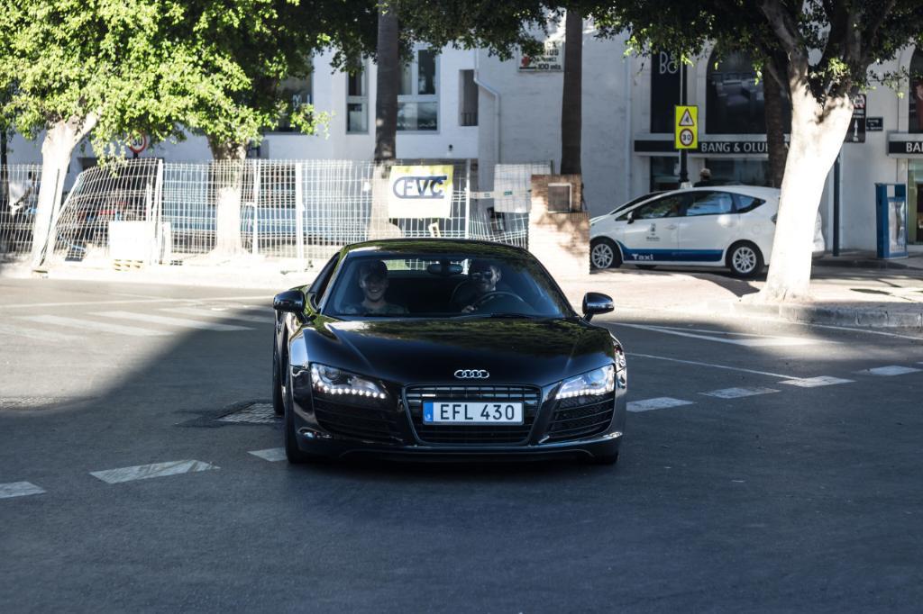 8648743503R8.jpg