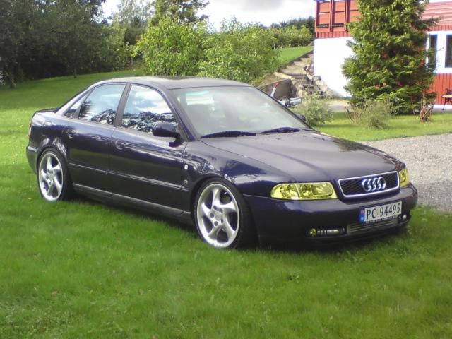 867219DSC00330.jpg