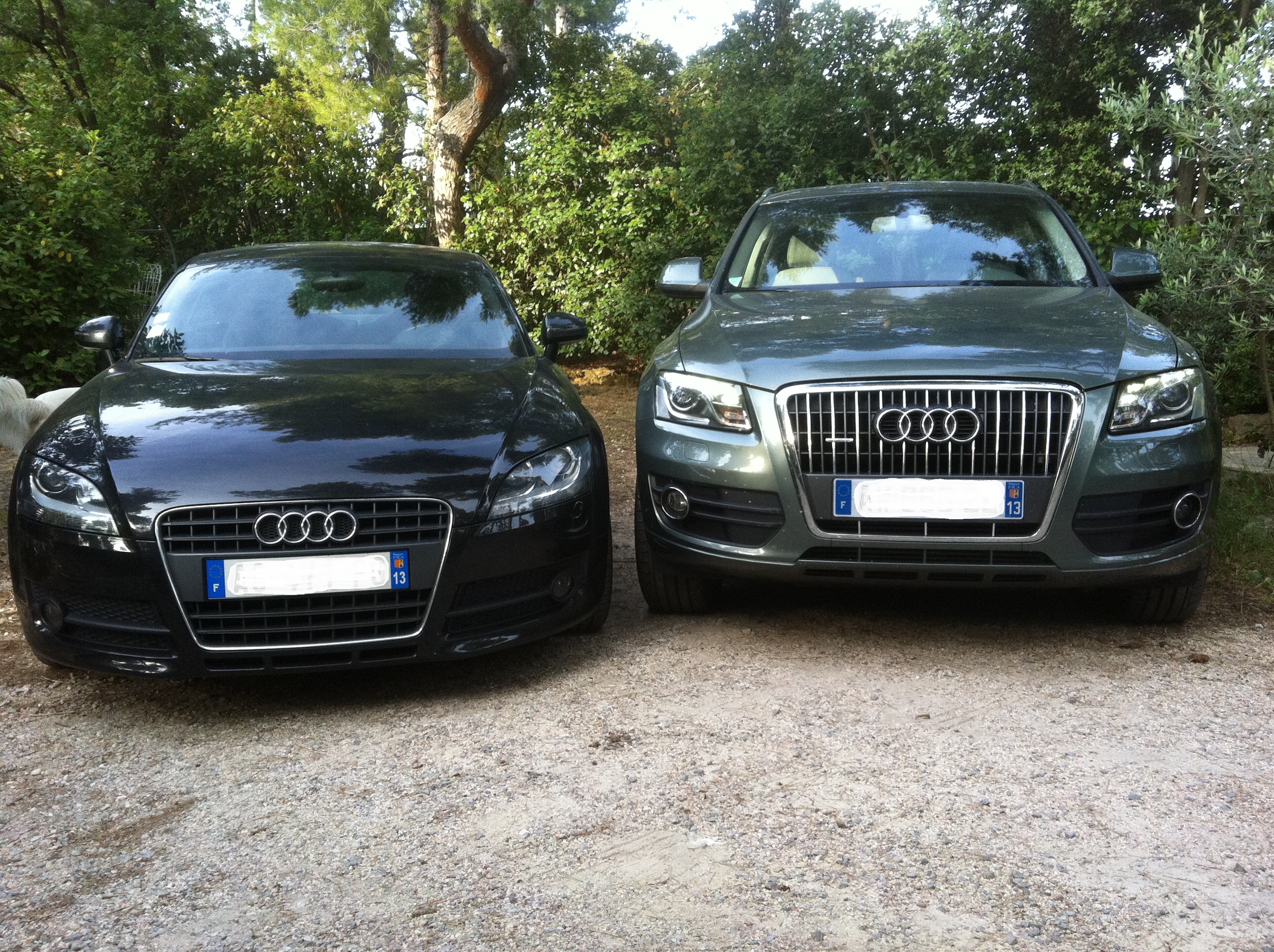 872066IMG1816.jpg