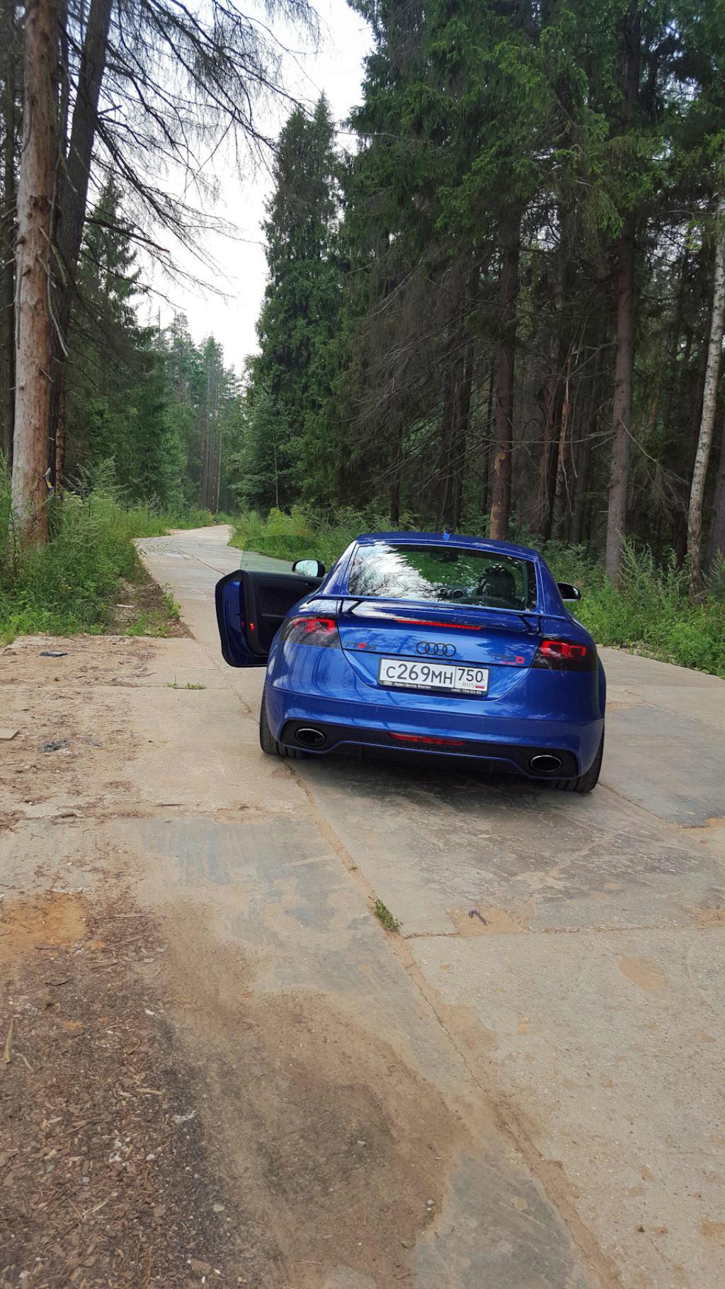 872389AUDITTRS2469.jpg