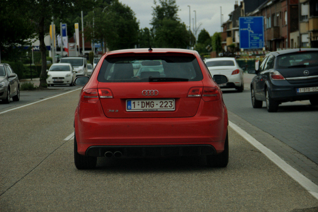 8730031217RS3.jpg