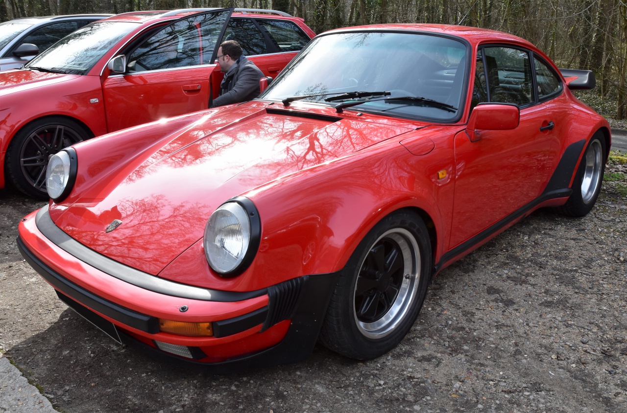 874468DSC00462x.jpg